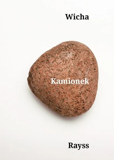 okładka książki Kamionek