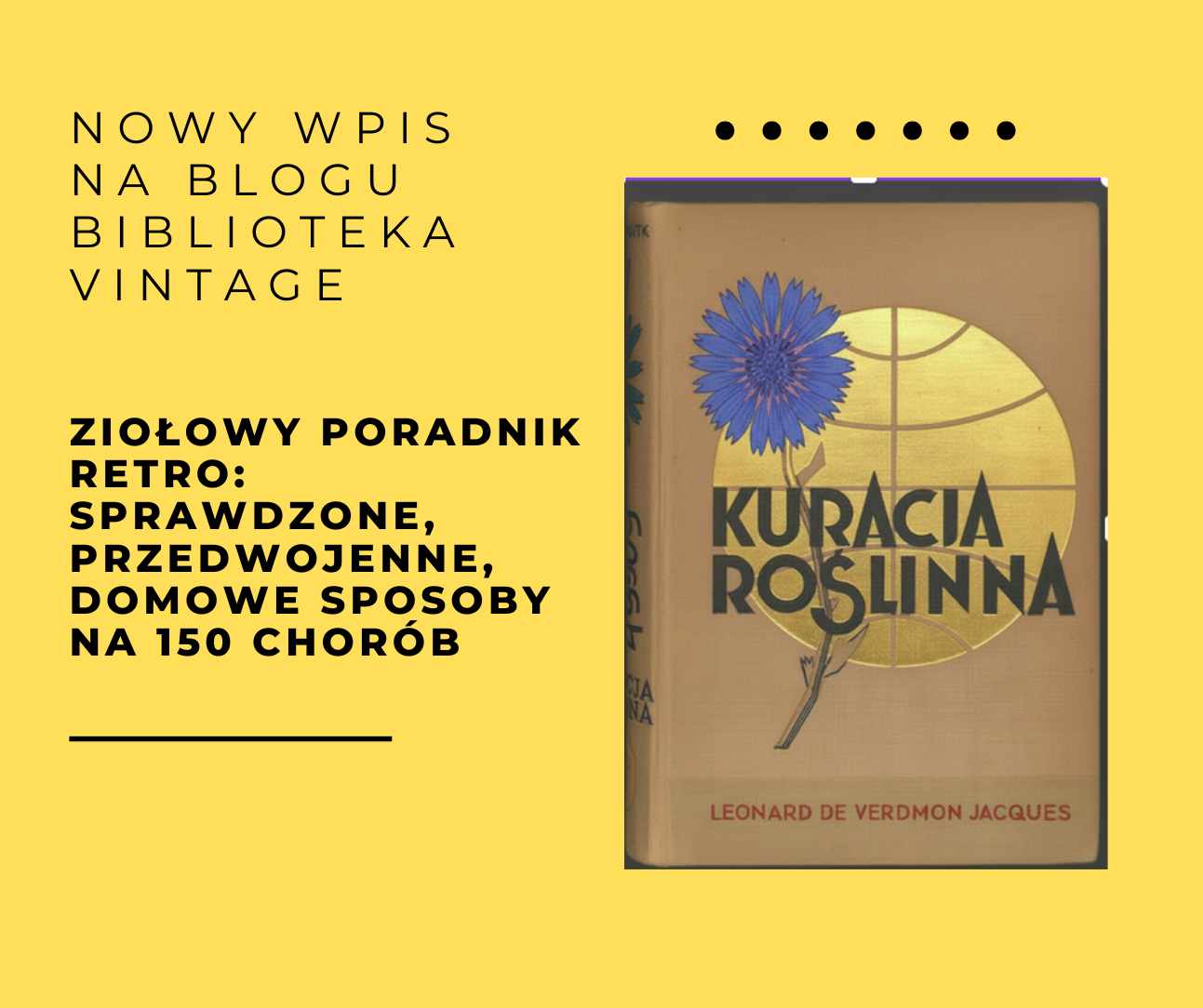 Zapraszamy do lektury nowego wpisu na blogu Biblioteka Vint…